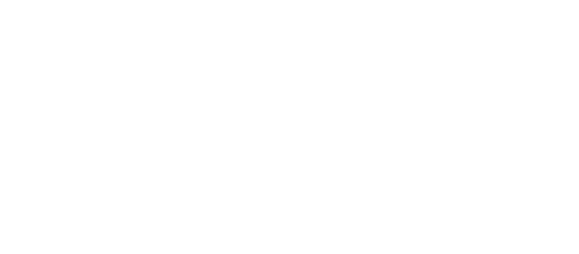 AMO - Asset Management Office